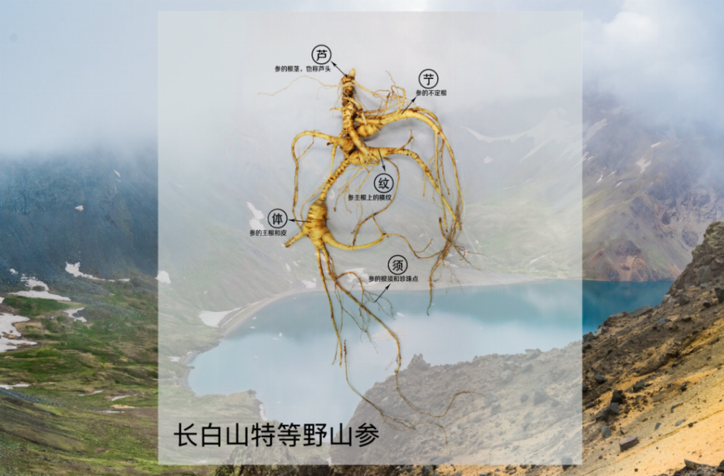 图片5.png