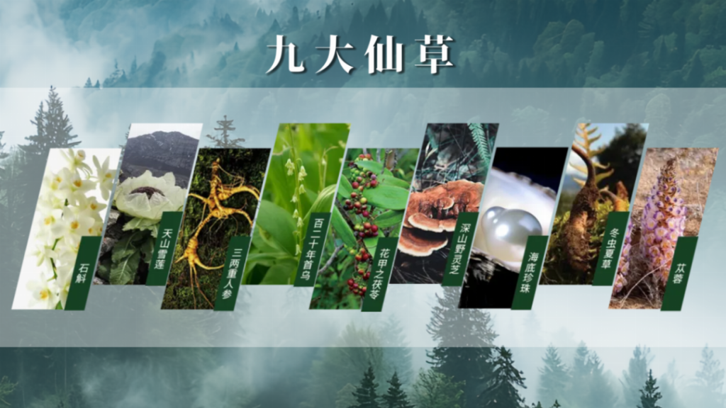 图片14.png