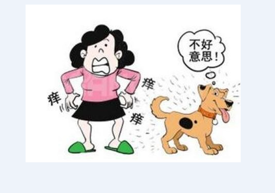 5826b8fe496ab3bfc51e97b80aa8bc8f_6388990358434866795028391.png
